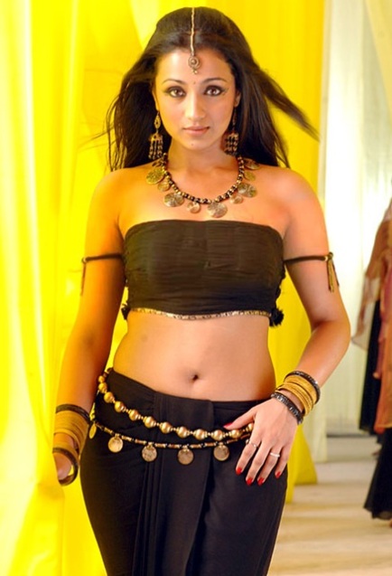  Hot Telugu Actress Trisha Navel Photos